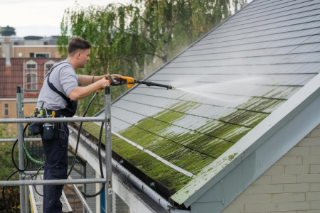 Moss Removal bellevue wa
